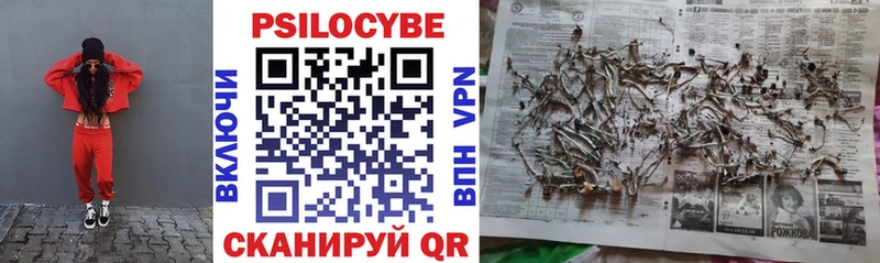 Псилоцибиновые грибы Psilocybine cubensis  Купить где  Карасук 